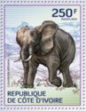 African Elephant (Loxodonta africana)
