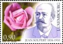 Rose "Duc de Constantine" & Jean Soupert (1934-1910)