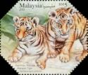 Malayan Tiger (Panthera tigris)