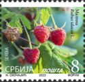 Raspberry (Rubus idaeus L.) 2022 Imprint