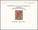 Euphorbia pulcherrima - Overprint