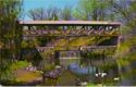 Bedford. Covered bridge