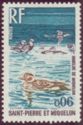 Long-tailed Duck (Clangula hyemalis)