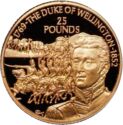25 Pounds (The Duke of Wellington)