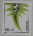 Painted Fern (Athyrium niponicum)