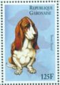 Basset Hound