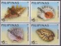 Philippine Shells