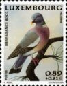 Wood Pigeon (Columba palumbus)
