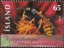 Norvegian Wasp (Dolichovespula norwegica) 