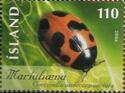 Eleven-spot Ladybird (Coccinella undecimpunctata)