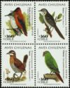 Chilean birds