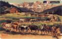 Kandel Postcard - Trail of Cows Moving To The Alps
