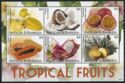 Tropical Fruits