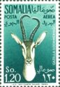 Soemmering's Gazelle (Gazella soemmeringi)