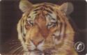 Lenticular Cat-To-Tiger (TeleCard World West '95)