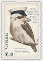 Kookaburra Postcard for Navy