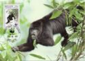 Howler Monkey