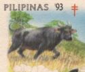 Tamaraw (Bubalus mindorensis)