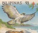Philippine Eagle