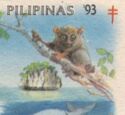 Philippine Tarsier (Carlito syrichta)