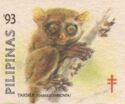 Philippine Tarsier (Tarsius syrichta)