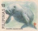 Dugong