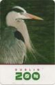 Dublin Zoo Featuring Heron