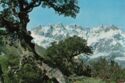 17 - Espinama. Macizo Oriental de los Picos de Europa desde la carretera