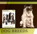 Dog Breeds