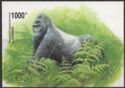 Eastern Lowland Gorilla (Gorilla gorilla graueri)