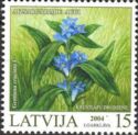 Star Gentian (Gentiana cruciata)