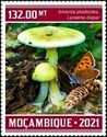 Amanita phalloides/Lycaena dispar