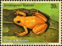 Golden Mantella (Mantella aurantiaca)