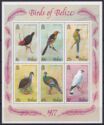 Birds of Belize 1977