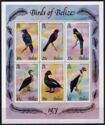 Birds of Belize 1978