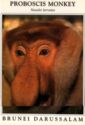 Proboscis Monkey