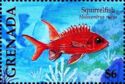 Squirrelfish