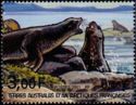 Kerguelen Fur Seal (Arctocephalus gazella)