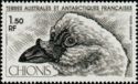 Black-faced Sheathbill (Chionis minor) 