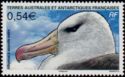 Black-browed Albatross (Diomedea melanophris)