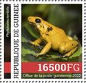 Golden Dart Frog (Phyllobates terribilis)