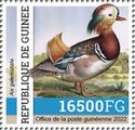 Mandarin Duck (Aix galericulata)