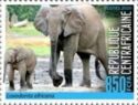 The African Bush Elephant (Loxodonta africana)