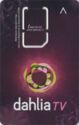 Dahlia TV