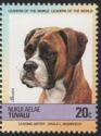 German Boxer (Canis lupus familiaris)