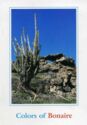Bonaire