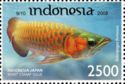 Asian Arowana (Scleropages formosus)
