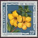 Allamanda cathartica