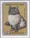 Smoky Persian (Felis silvestris catus)