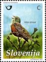 Ortolan Bunting (Emberiza hortulana)